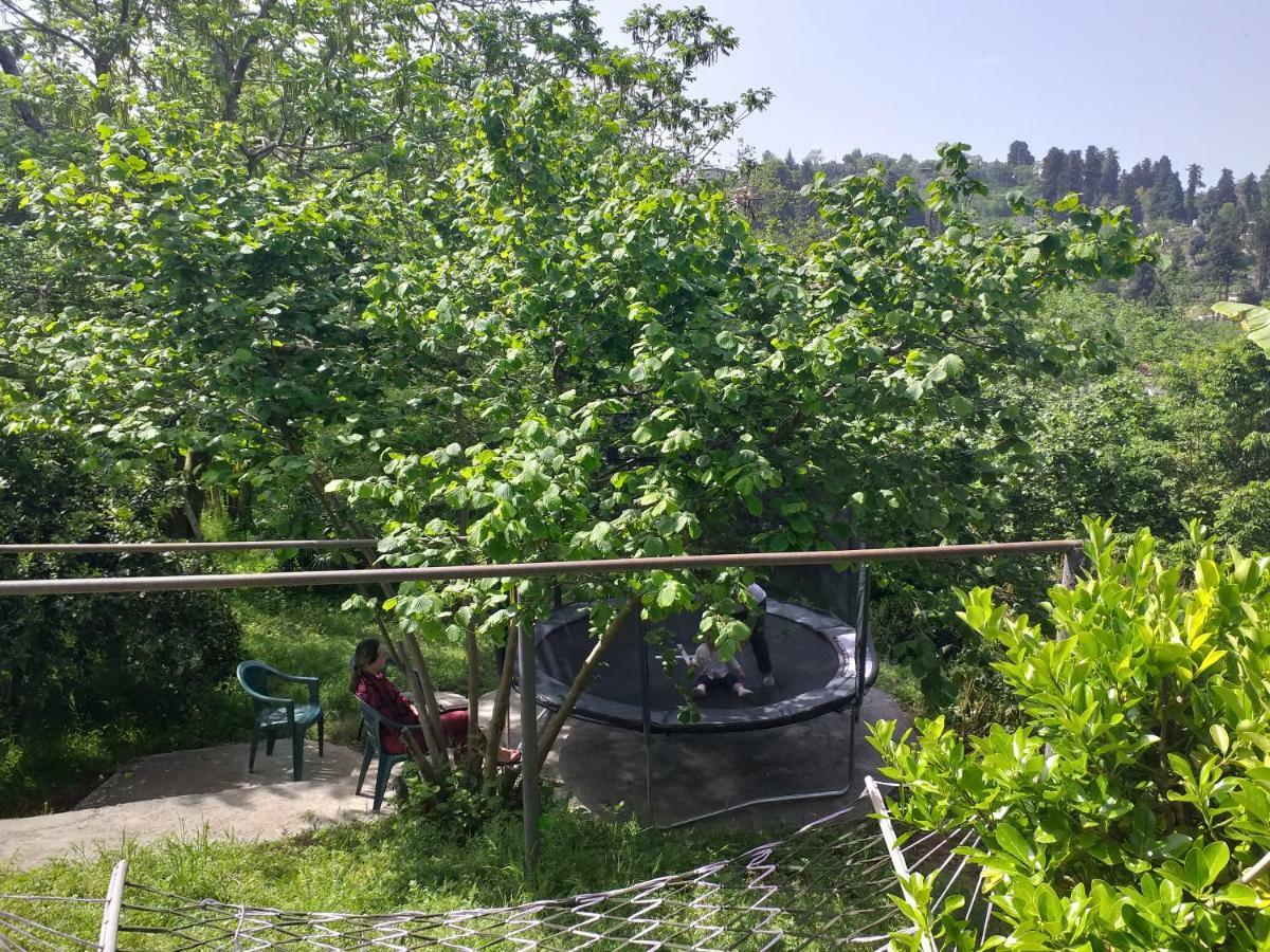 Green Cape Guest House Makhindzsauri Kültér fotó
